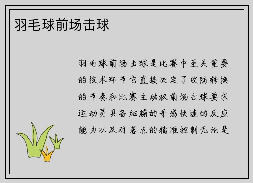 羽毛球前场击球